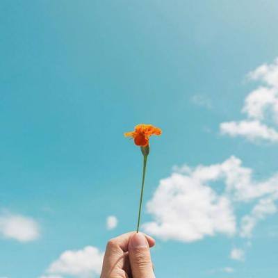 bd半岛·体育中国官方网站