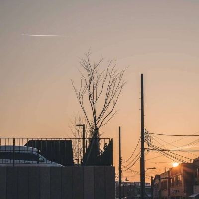 星空下载下载手机版