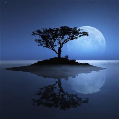 金沙威尼斯(wns)欢乐娱人城