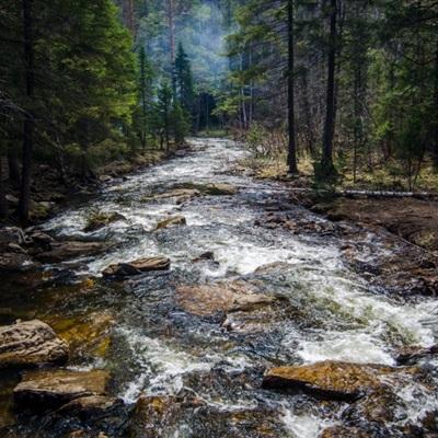 手机最快开奖结果